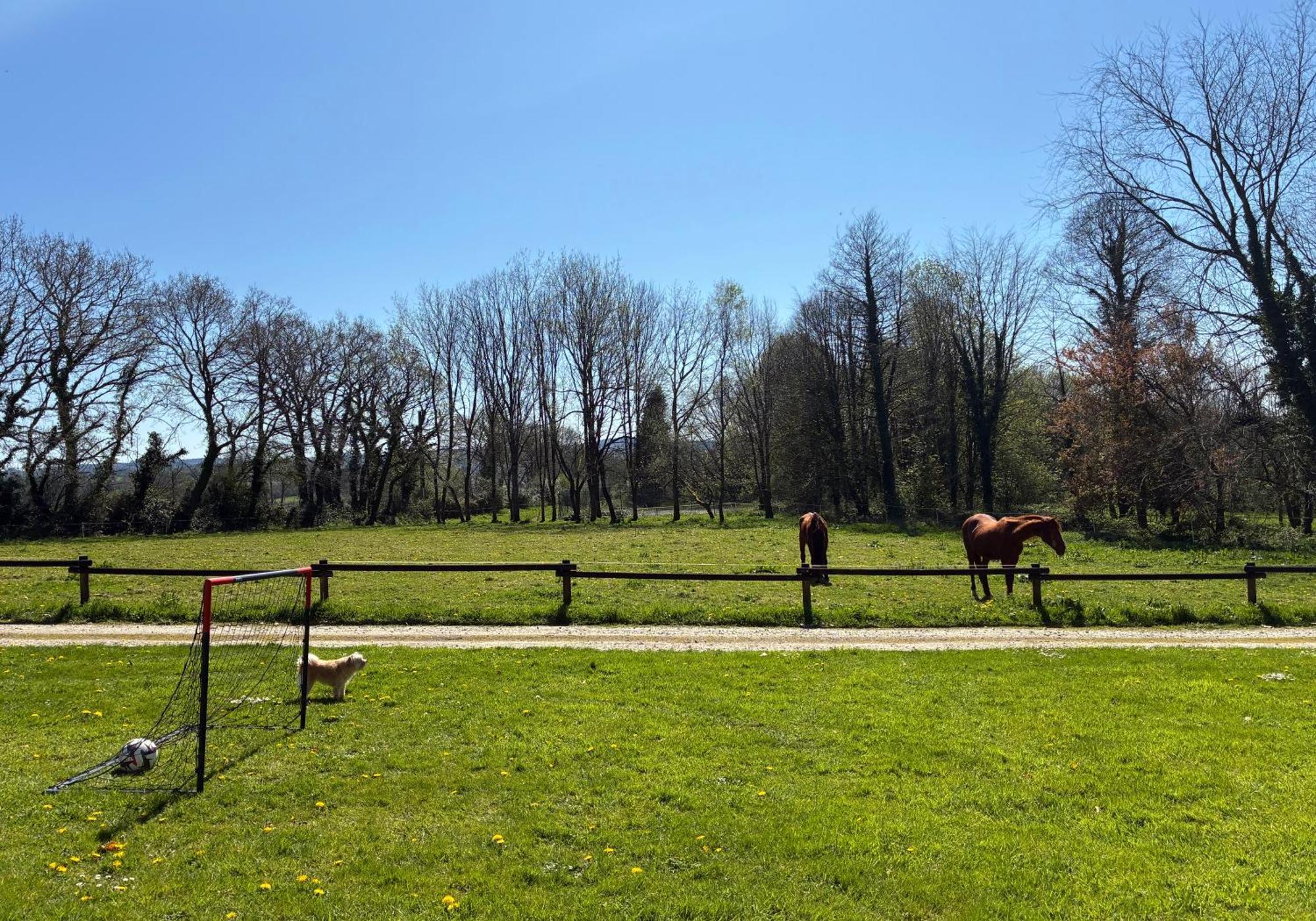 Gite Milin A Sizun Hebergement Confortable Pour 7 Pers Kültér fotó